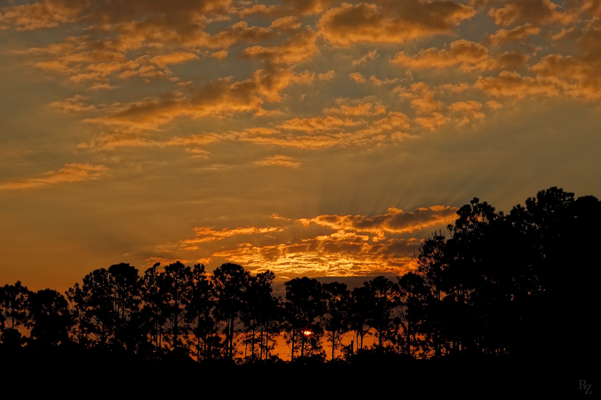 It’s Not Mine To Say